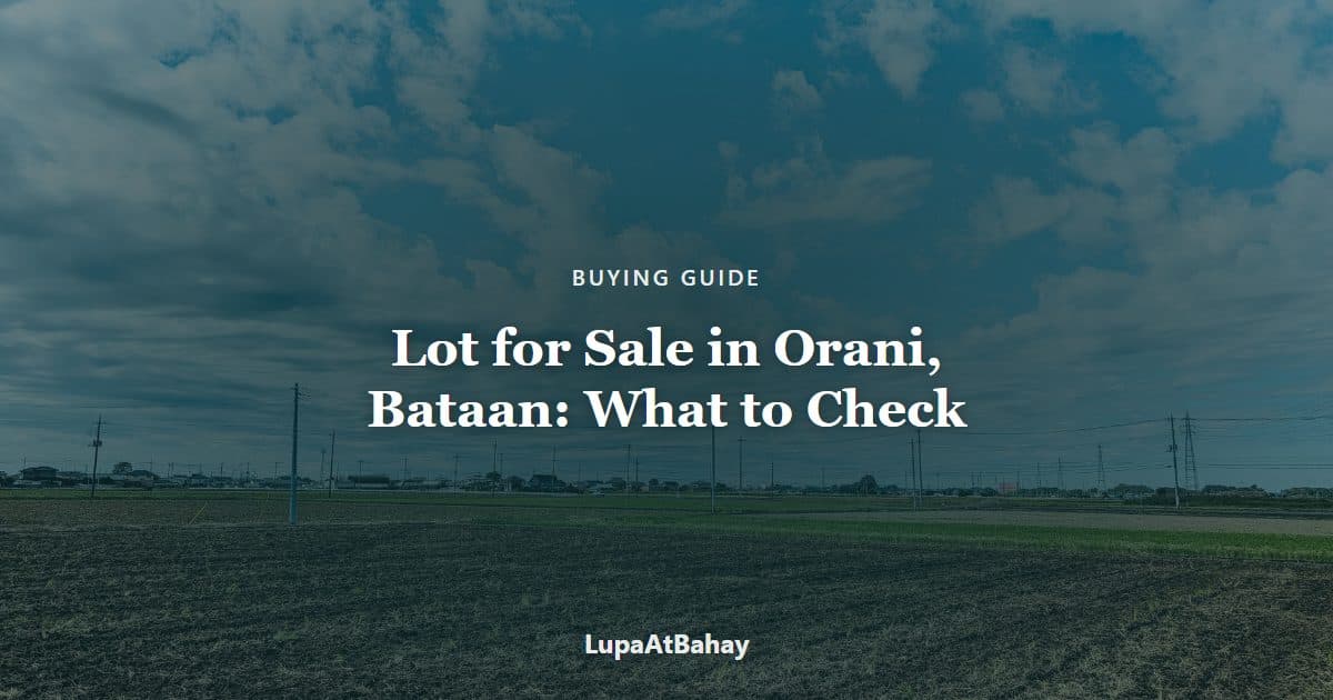 An open rural field under a cloudy sky, with electric poles running across the land, under the headline “Lot for Sale in Orani, Bataan: What to Check Before You Buy”.