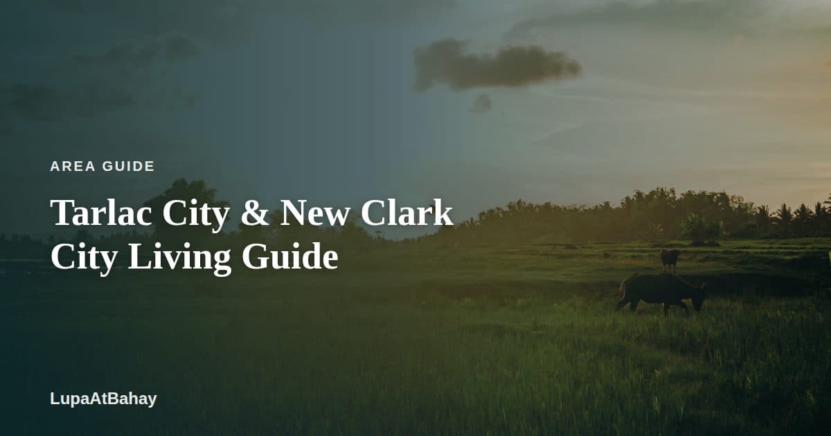 A rice field at golden hour, with trees and the sun low on the horizon, under the headline “Tarlac City & New Clark City Living Guide”.