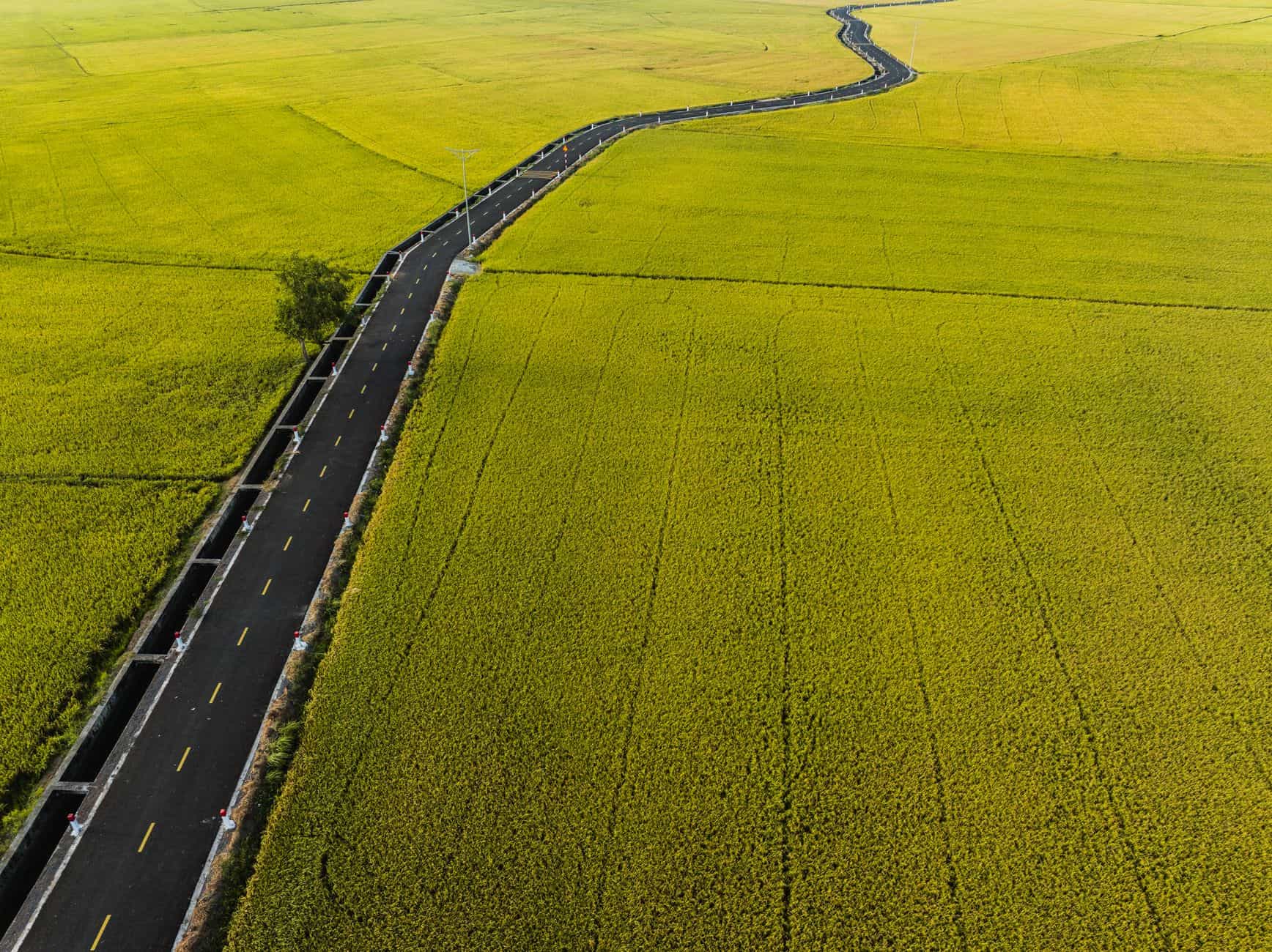 Aerial view of open land