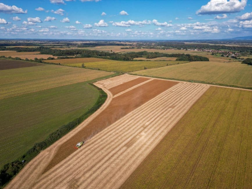 Modern Agricultural / Farm Land in Concepcion