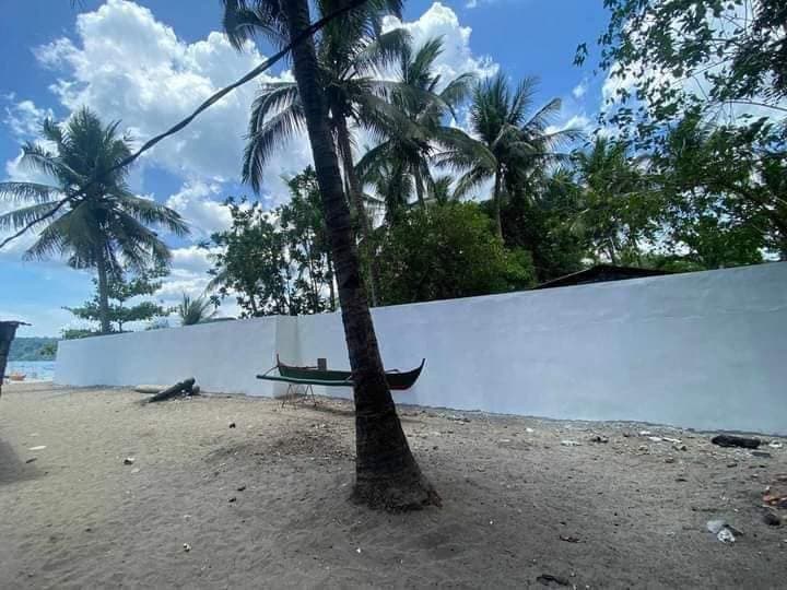 Beachfront Lot in Morong, Bataan
