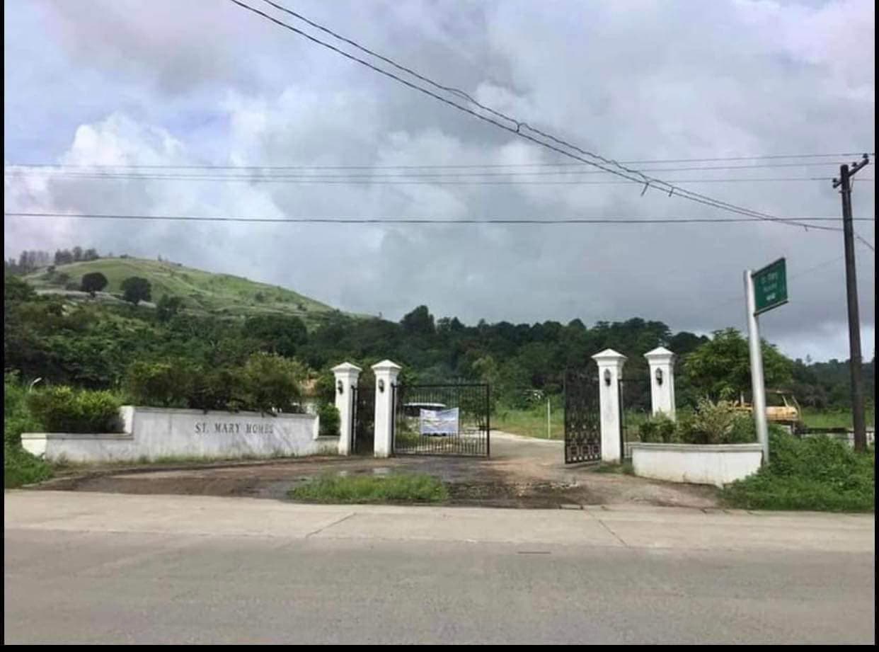Subdivision Lot for Sale - Barangay Asinan, Subic, Zambales