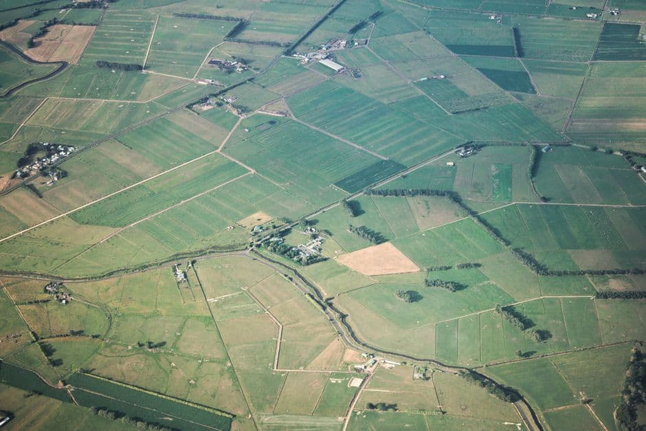 Cozy Agricultural / Farm Land in Apalit — photo 2