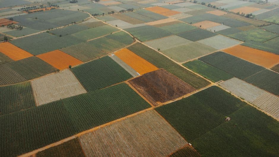 Cozy Agricultural / Farm Land in Apalit