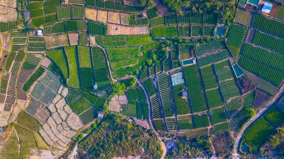 Charming Agricultural / Farm Land in Gerona